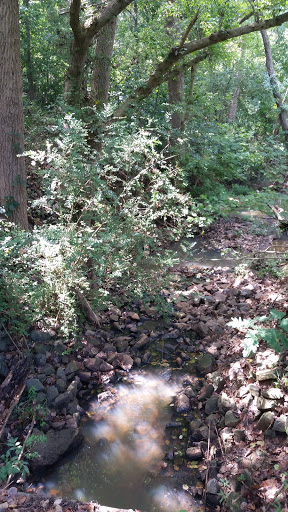 Golf Course «Renaissance Park Golf Course», reviews and photos, 1525 W. Tyvola Drive, Charlotte, NC 28217, USA