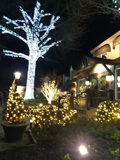 Shopping Mall «Village Centre», reviews and photos, 776 Walker Rd, Great Falls, VA 22066, USA