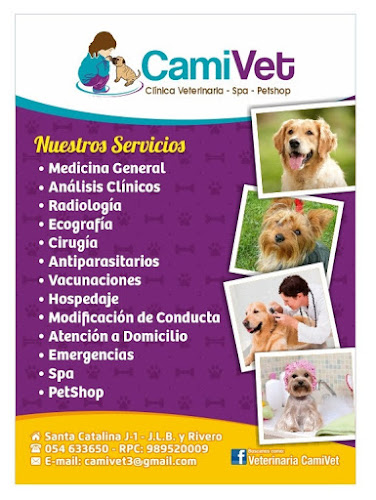 CAMIVET Clinica Veterinaria Spa - Veterinario