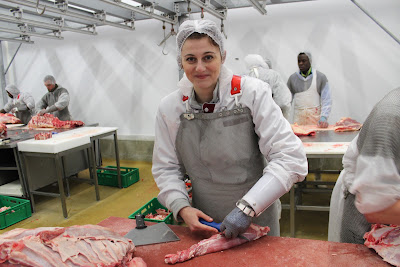 CECOF Centre de Formation d'Apprentis à Ambérieu-en-Bugey