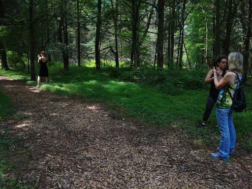 Nature Preserve «Whittemore Wildlife Sanctuary», reviews and photos, 7 Rockaway Rd, Whitehouse Station, NJ 08889, USA