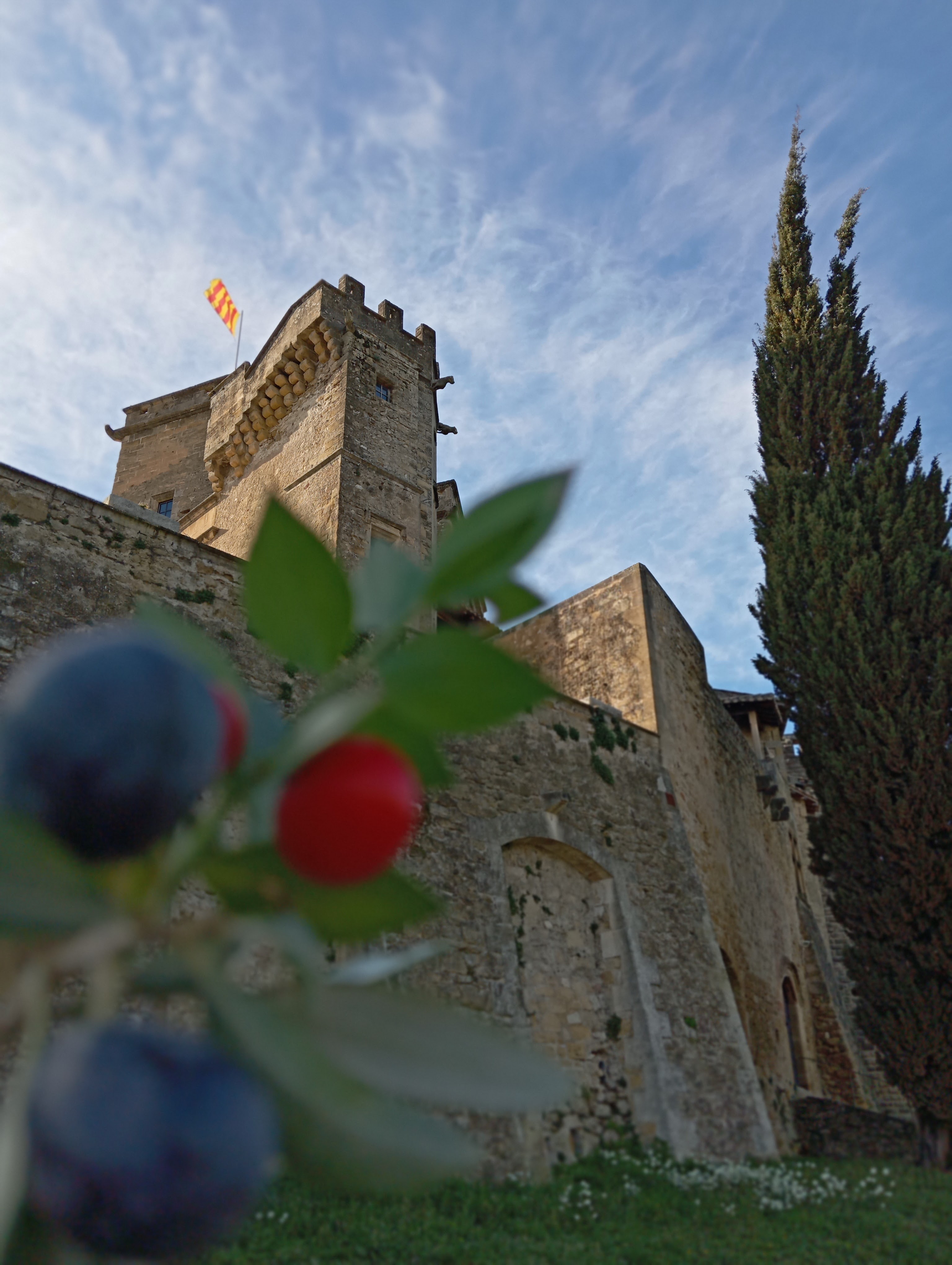 Photo n° 6 de l'avis de Pacha.i fait le 01/03/2024 à 22:31