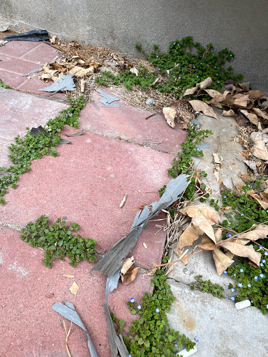 Painter «Painter1 of Utah County», reviews and photos, 947 1010 N #402, Orem, UT 84057, USA