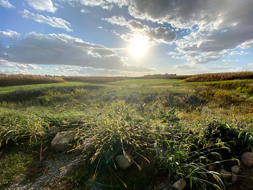 Wedding Venue «The Legacy Barn», reviews and photos, 951 County Rd N 600 W, Kokomo, IN 46901, USA