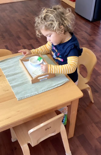 Montessori School «The Nurtury Montessori School», reviews and photos, 3812 Riverland Rd, Fort Lauderdale, FL 33312, USA