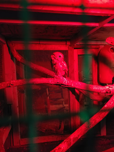 Zoo «3 Palms Zoo & Education Center», reviews and photos, 924 Blackbird Forest Rd, Clayton, DE 19938, USA