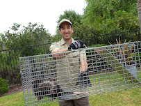 Baltimore Wild Animal Removal - Photo 9 - Car repair in Rosedale, MD, Baltimore