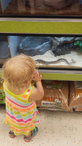 Pet Supply Store «Petco Animal Supplies», reviews and photos, 1207 S Caraway Rd, Jonesboro, AR 72401, USA