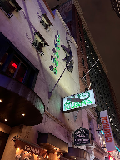 Tex-Mex Restaurant «Iguana New York», reviews and photos, 240 W 54th St, New York, NY 10019, USA