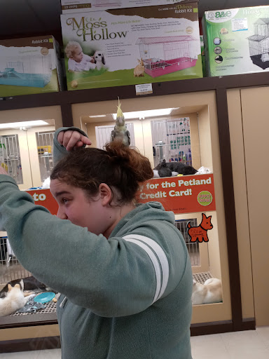 Pet Store «Petland», reviews and photos, 920 Hebron Rd, Heath, OH 43056, USA