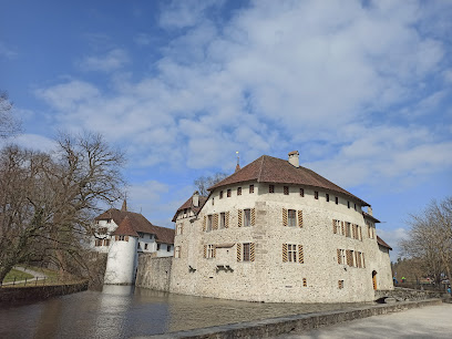 Seengen, Schloss Hallwyl