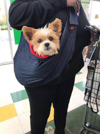 Pet Supply Store «Pet Supplies Plus», reviews and photos, 270 N Bolingbrook Dr, Bolingbrook, IL 60440, USA