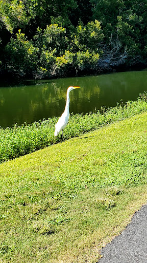 Golf Course «Shadowmoss Plantation Golf Club», reviews and photos, 20 Dunvegan Dr, Charleston, SC 29414, USA