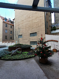 Photo n°110 de Ciarus à Strasbourg ()
