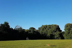 St James' Public Park image