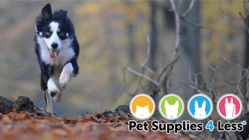Pet Supplies 4 Less