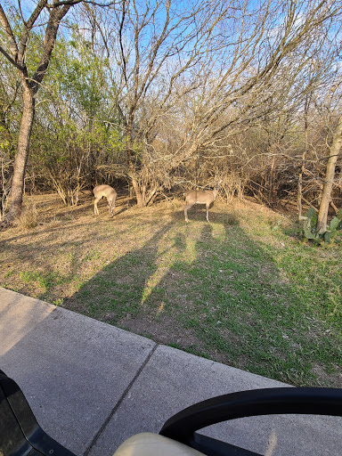 Public Golf Course «Hyatt Hill Country Golf Club», reviews and photos, 9800 Hyatt Resort Dr, San Antonio, TX 78251, USA