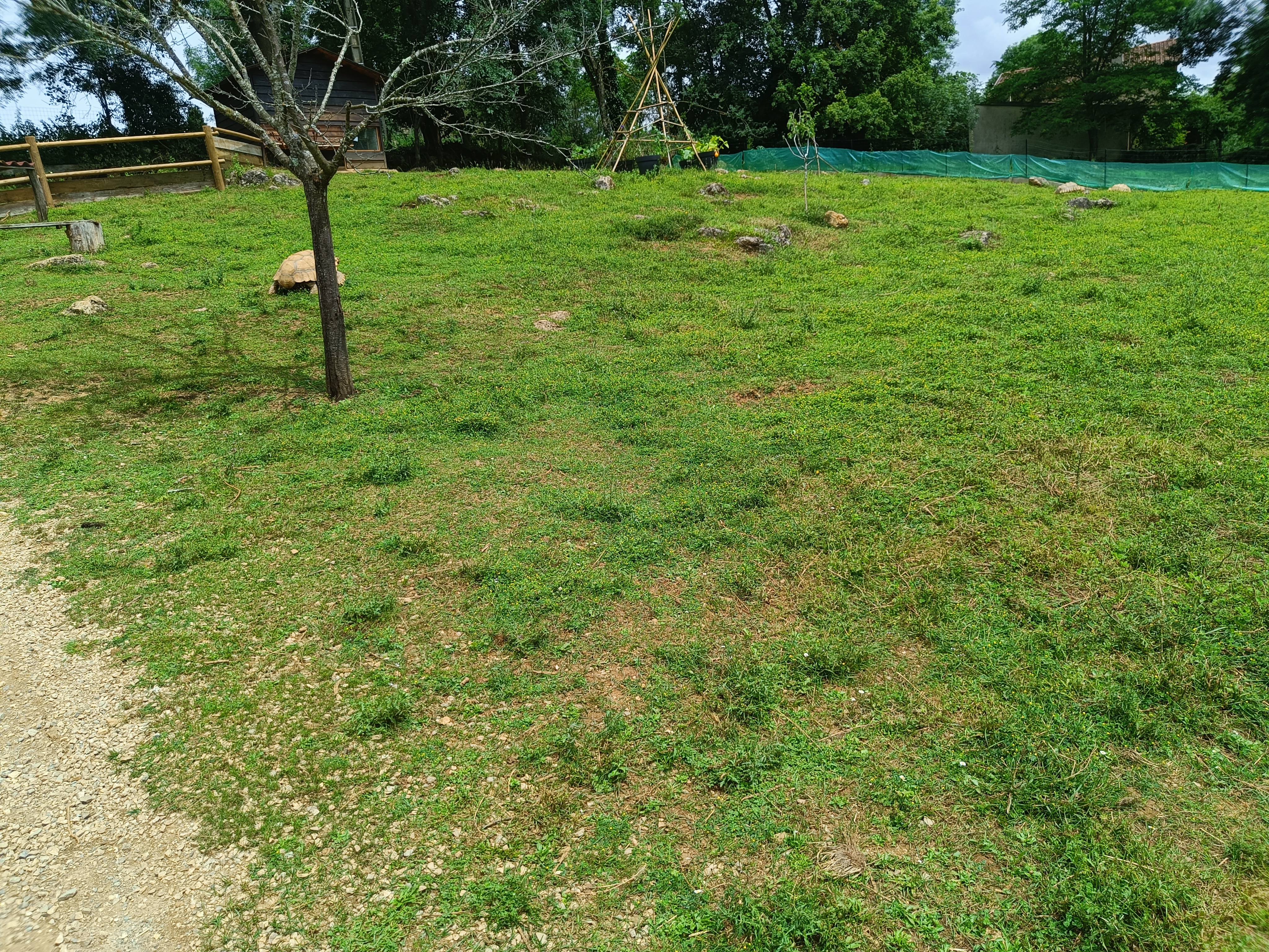 Photo n° 2 de l'avis de Kris.e fait le 16/07/2023 à 15:36