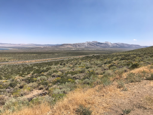 Convenience Store «Tioga Gas Mart», reviews and photos