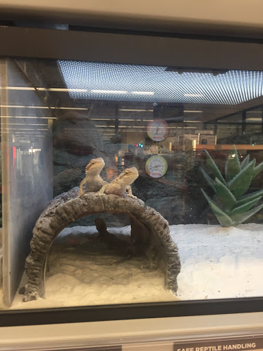 Pet Supply Store «Petco Animal Supplies», reviews and photos, 300 Hylan Dr, Rochester, NY 14623, USA