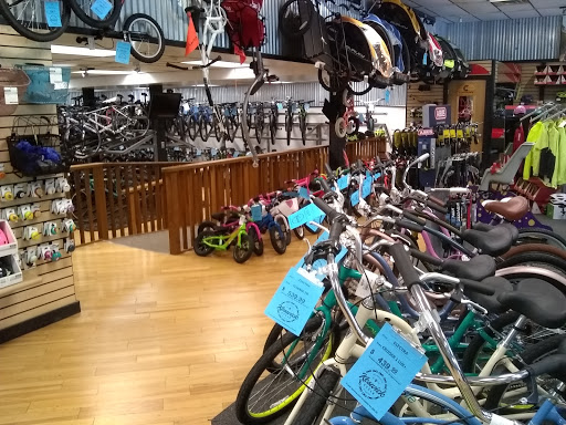 Bicycle Store «Keswick Cycle Glenside», reviews and photos, 408 N Easton Rd, Glenside, PA 19038, USA