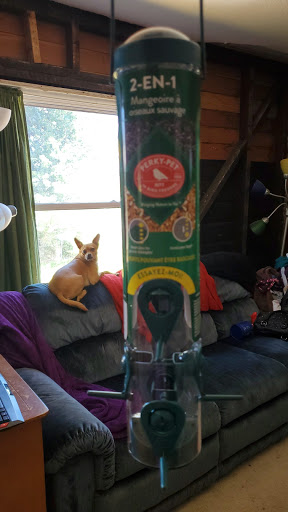 Hardware Store «Ace Hardware», reviews and photos, 155 S Columbia River Hwy, St Helens, OR 97051, USA