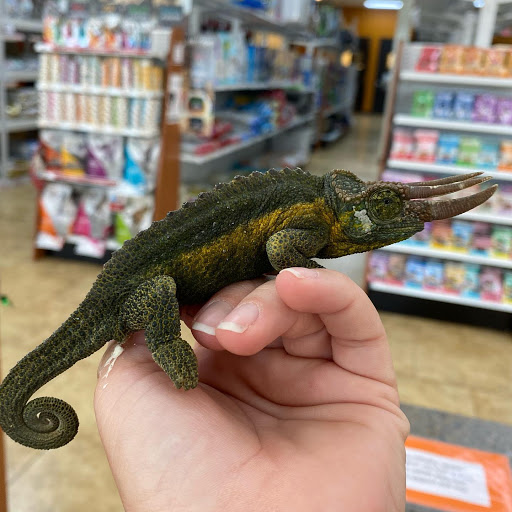 Pet Supply Store «North Tampa PET DEPOT», reviews and photos, 16033 Tampa Palms Blvd W, Tampa, FL 33647, USA