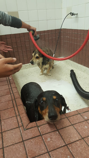 Pet Supply Store «Pet Food Express», reviews and photos, 39010 Paseo Padre Pkwy, Fremont, CA 94538, USA