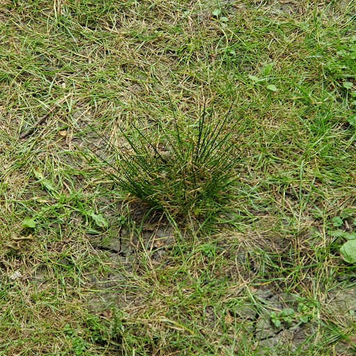 Nature Preserve «Fox Bluff Conservation Area», reviews and photos, Cold Springs Rd, Algonquin, IL 60102, USA