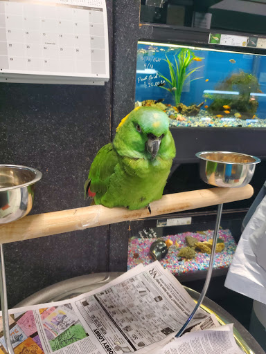 Pet Store «Friendly Pets», reviews and photos, 625 Friendly Center Rd, Greensboro, NC 27408, USA