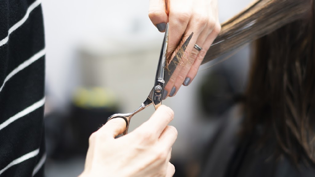 SWITCH hair company 55082