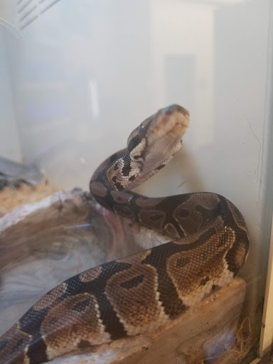 Pet Supply Store «Pet Supplies Plus», reviews and photos, 12407 MoPac Expy 525 - B, Austin, TX 78758, USA