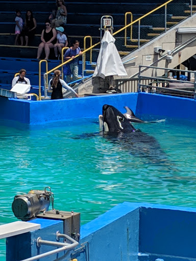 Tour Agency «Miami Swim With Dolphin Tours», reviews and photos, 247 SW 8th St, Miami, FL 33130, USA