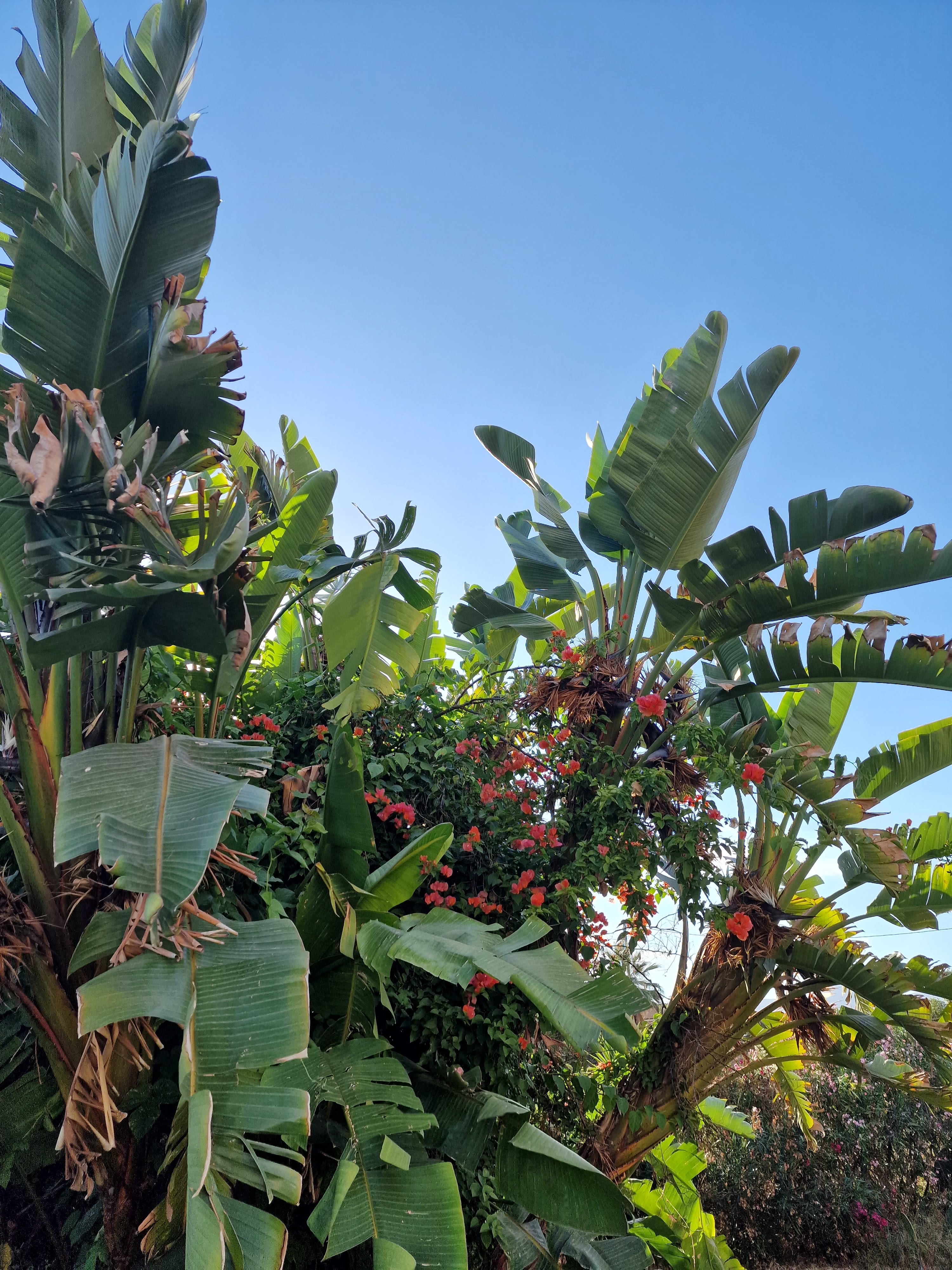 Photo n° 13 de l'avis de Ula.u fait le 09/07/2022 à 12:48