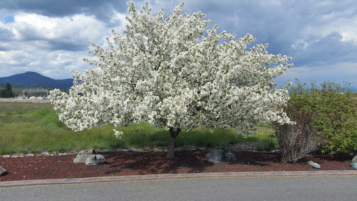 Golf Club «Links Golf Club», reviews and photos, 10623 Chase Rd, Post Falls, ID 83854, USA