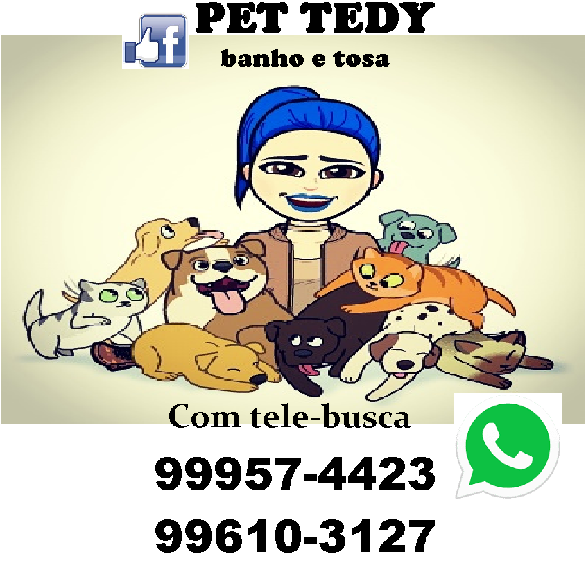 pet tedy