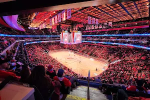 Detroit Red Wings image