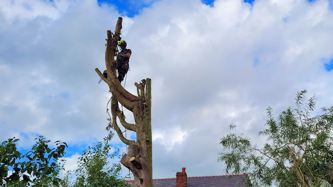 Lumbers Northwest - Tree Surgery & Grounds Maintenance (Wirral, Liverpool & Chester) Open Times