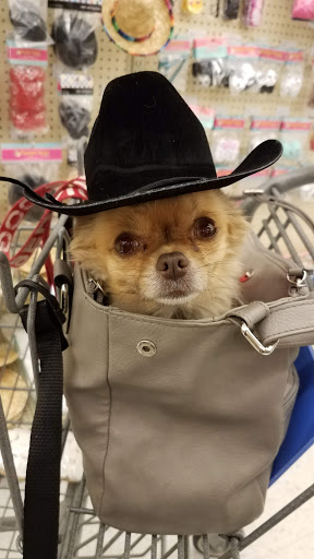 Craft Store «Hobby Lobby», reviews and photos, 6803 S 27th St, Franklin, WI 53132, USA