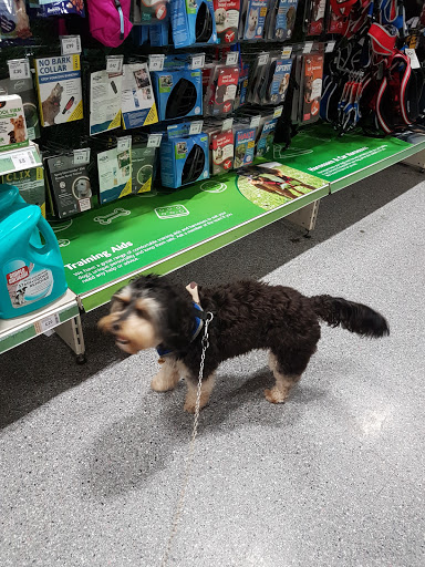 Pets at Home Derby