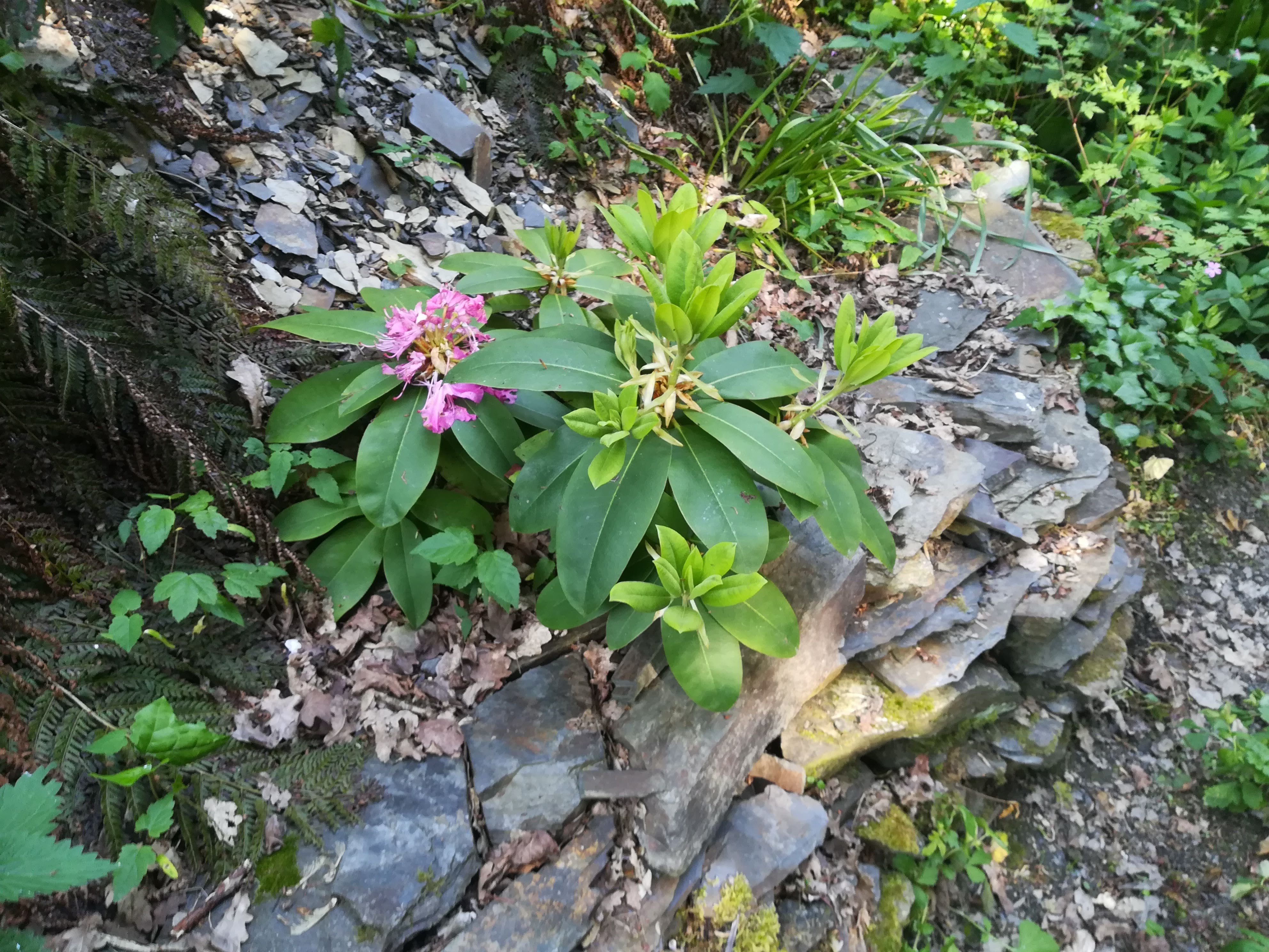 Photo n° 33 de l'avis de missbigsmile. fait le 03/07/2018 à 05:14