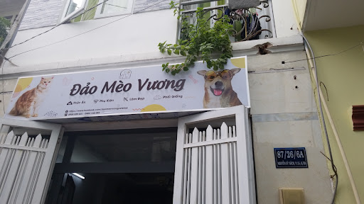 Petshop - Dao Meo Vuong
