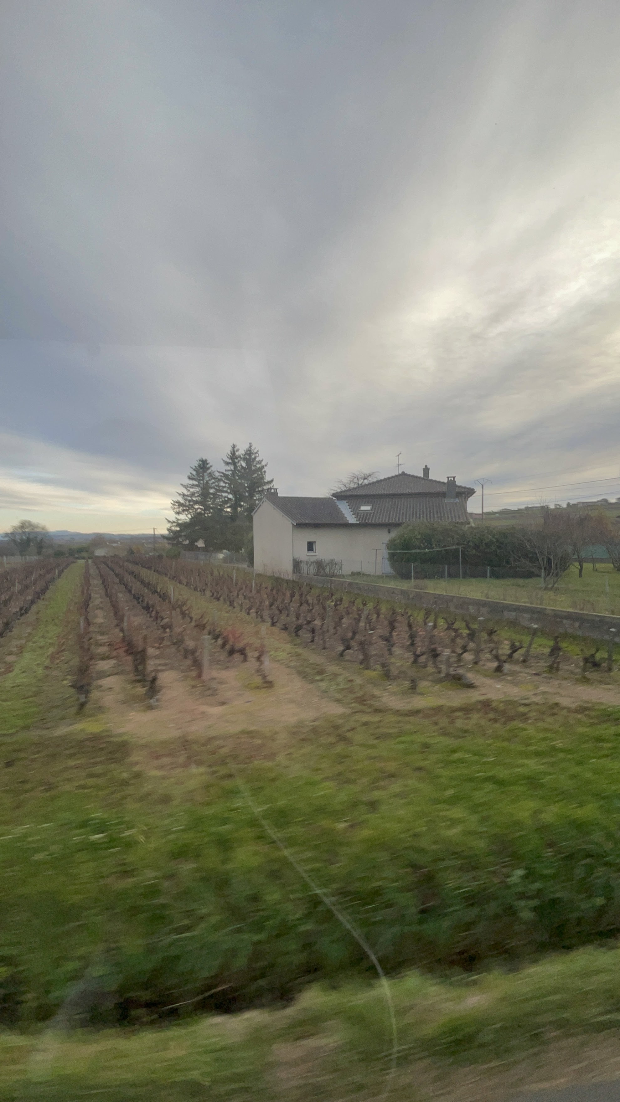 Photo n° 1 de l'avis de IRINA.i fait le 04/12/2021 à 22:01
