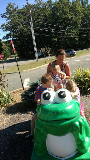 Water Park «Frog Falls Aquatic park», reviews and photos, 3227 Brown Rd, Dover, NJ 07801, USA