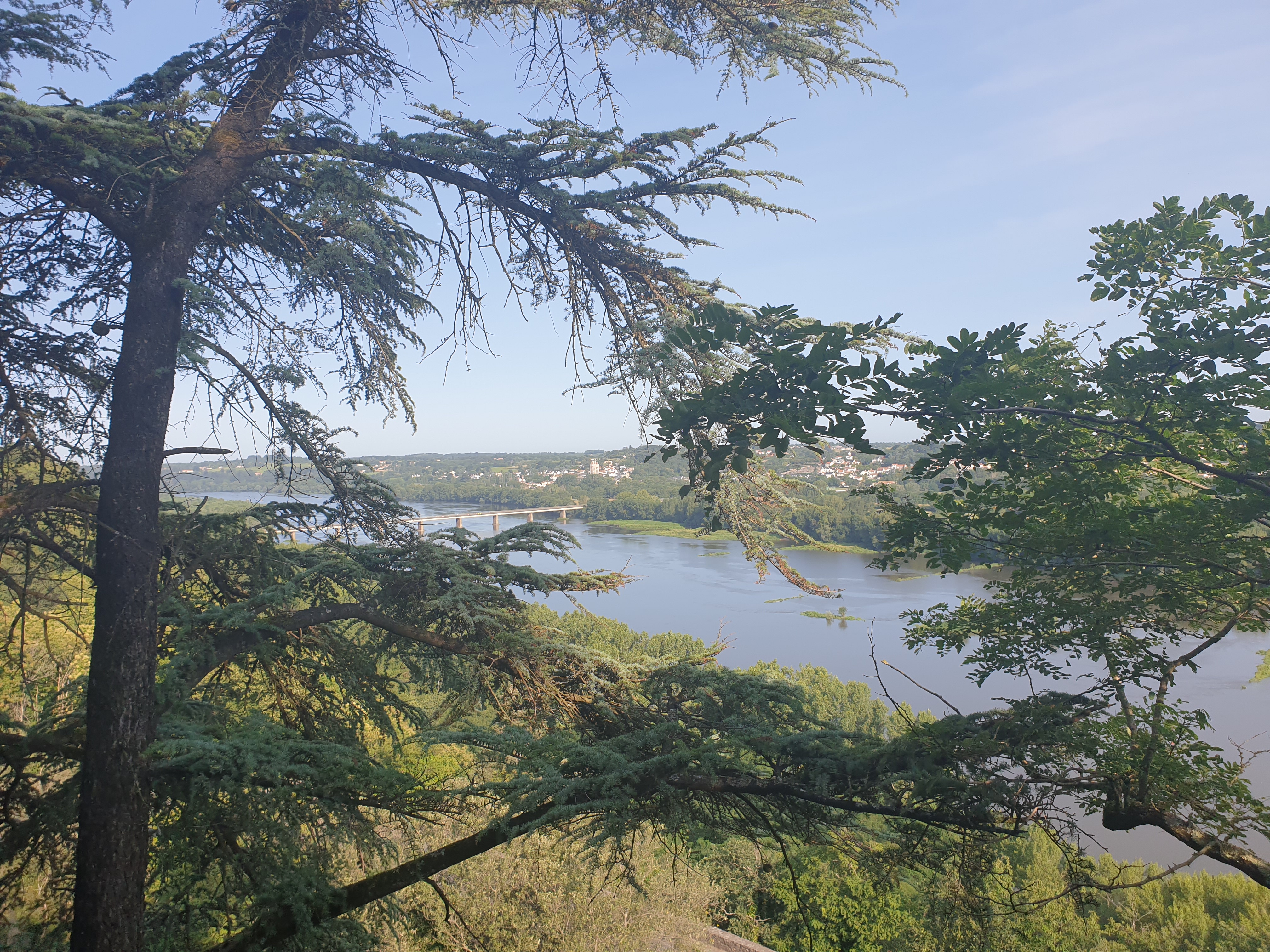 Photo n° 1 de l'avis de Angella.a fait le 23/06/2020 à 19:04