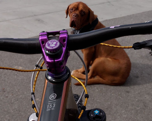 Bicycle Store «Cycle Works», reviews and photos, 1420 Mission St, Santa Cruz, CA 95060, USA