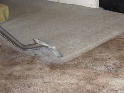 AreaWide Carpet Cleaning in La Marque, Texas