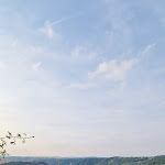 Photo n°33 de l'avis de Miehajel.a fait le 10/07/2022 à 00:33 sur le  Loreleyblick Maria Ruh à Urbar