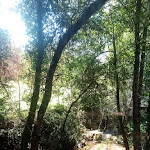 Photo n°11 de l'avis de Fernando.l fait le 12/07/2022 à 16:09 sur le  O Lagar de Valinhas à Vitorino dos Piães