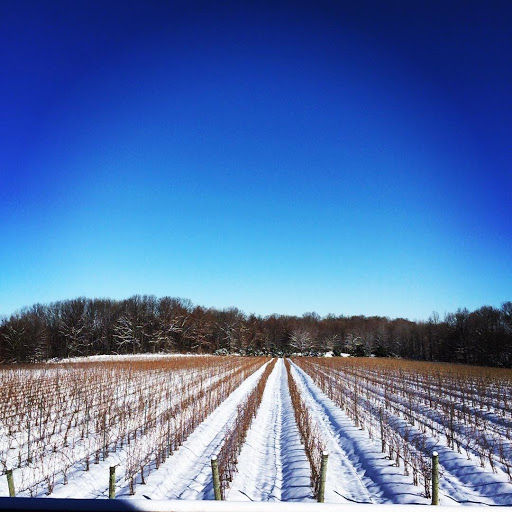 Winery «M Cellars», reviews and photos, 6193 S River Rd W, Geneva, OH 44041, USA